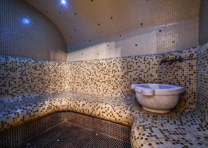 Apart Otel Onegin & Thermal Zone Süzebolu