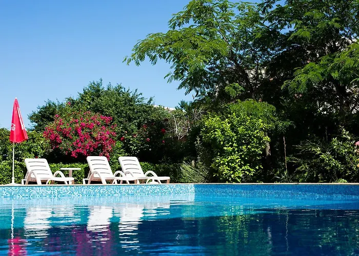 Onegin & Thermal Zone 3*